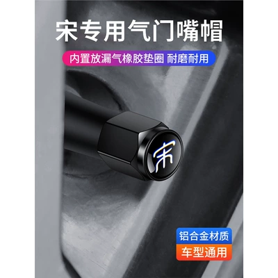 Plusdmi Decorative Valve Cap – valve