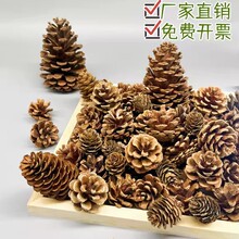 �}�Q��Ȼ�ɹ�DIY�����ɘ�֦ԭľ�׃��@�ֹ��h�������b����