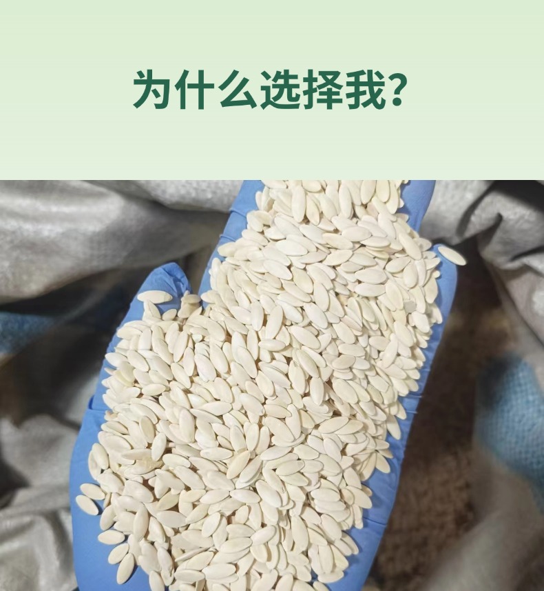 Dried Cucumber Seeds Huang Gua Zi 500g Northeast China Raw Herbal Botanical key features