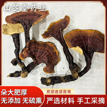 ����Ұ���`֥��֥���`֥��֥��؛������ɼș��