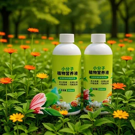 栽培基质;营养液;衣钩/挂钩