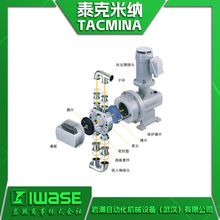 岩濑代理TACMINA泰克米纳 无脉动泵APLS系列 卫生级计量输送泵