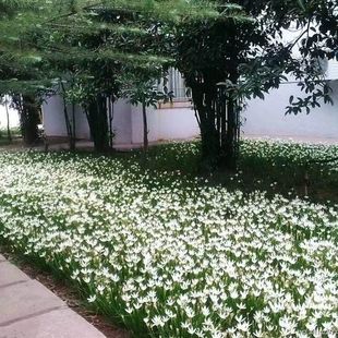 �ͺ��[�m�L�����������_���G���ļ�ͥԺֲ��