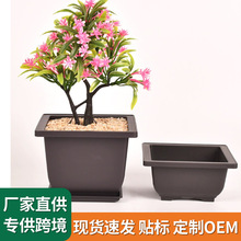 ɰ ⻨Lϻ ̨ СС辰Nֲ