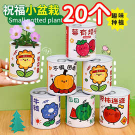 绿植祝福小盆栽儿童开学班级奖励礼物学生奖品幼儿园观察罐装植物