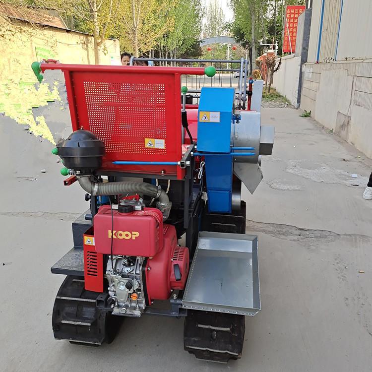 gran cosechadora combinada de trigo arroz pequeña máquina automática de granos, colza, soja y sorgo trillado integrado