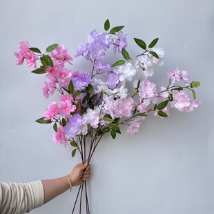 ����ѻ����Ļ��һ��¿��c�ٻ��ҾӔ[�O���滨�ٻ������쾰����