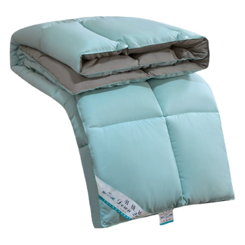 Взрывы подарок оптом студенческое общежитие двойное одиночное утолщенное зимнее одеяло осень зима одеяло сердечник вниз бархатное одеяло