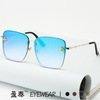 Fashionable sunglasses, 2023 collection, European style