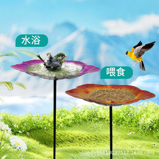 �羳�S�ҬF؛�����B���� ���s���@ͥԺι�B����� ���ٹ�ˇ�b[