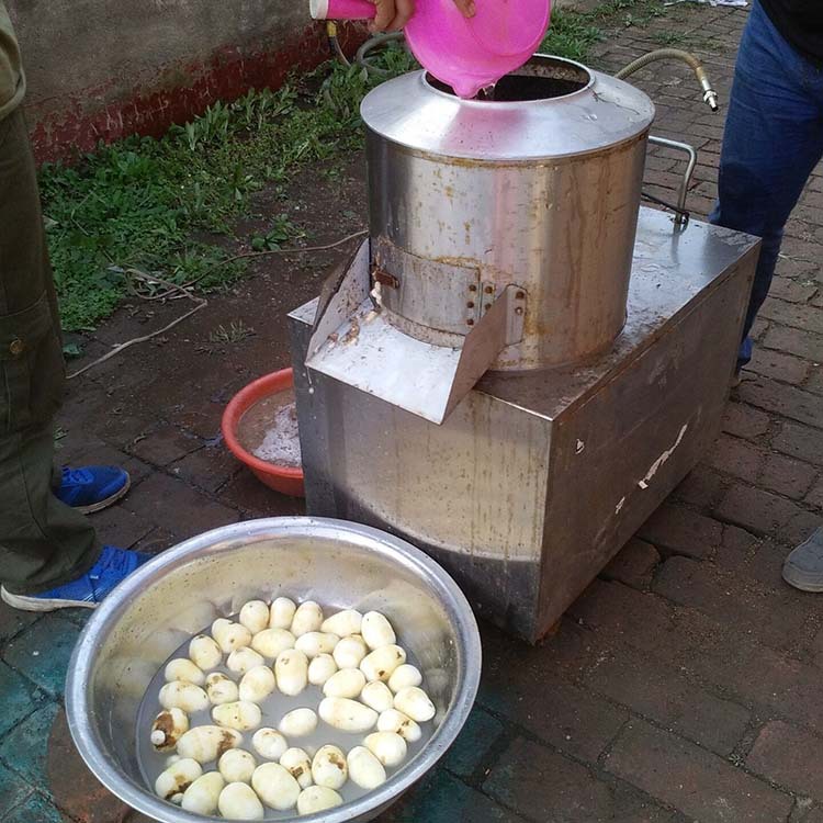 土豆去皮机工作实拍