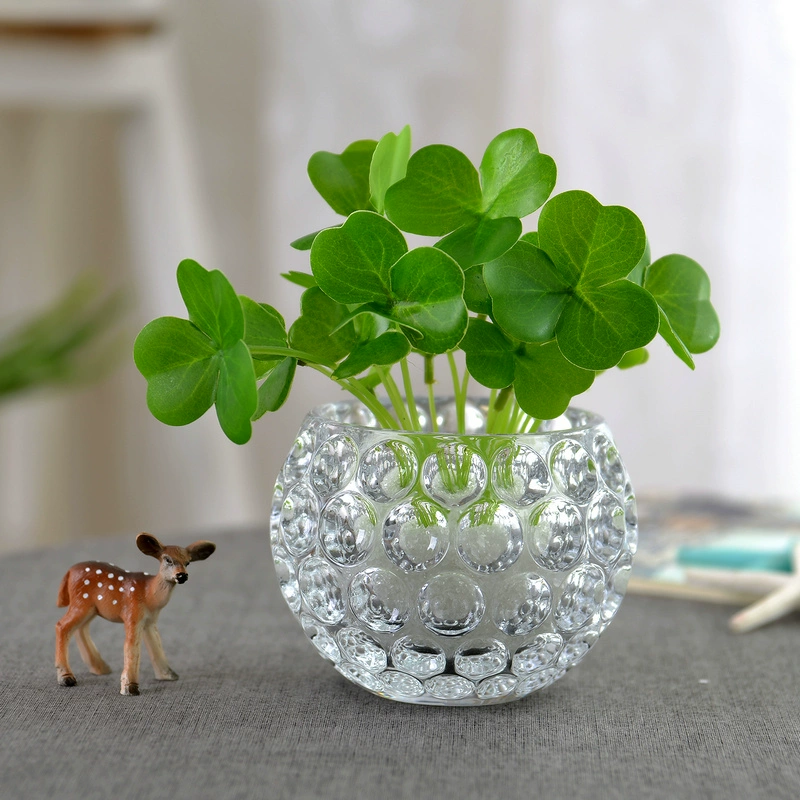 Ваза стеклянная бутылка из водяной посуды, украшение медных трав, цветочный горшок, зеленая ваза, прозрачная гостиная, цветочная композиция, хрустальный шар
