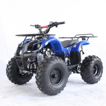 Beach off-road bike on four wheels for adults
