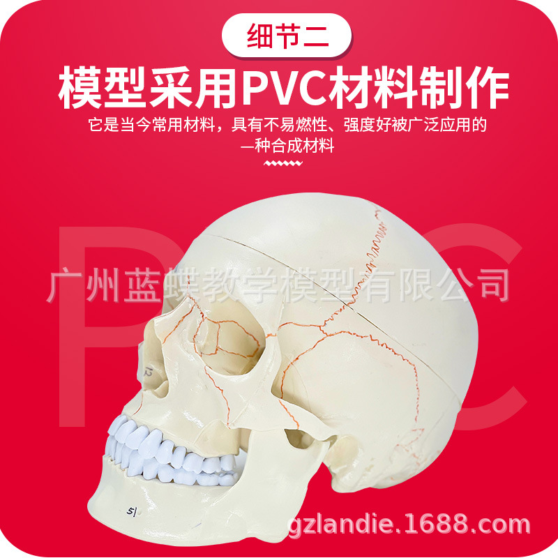 �Ƿ���ͷ�Ǹ���ģ�� ����ͷ­�� ����ģ�� �񾭿�­�Խ��� ͷ��