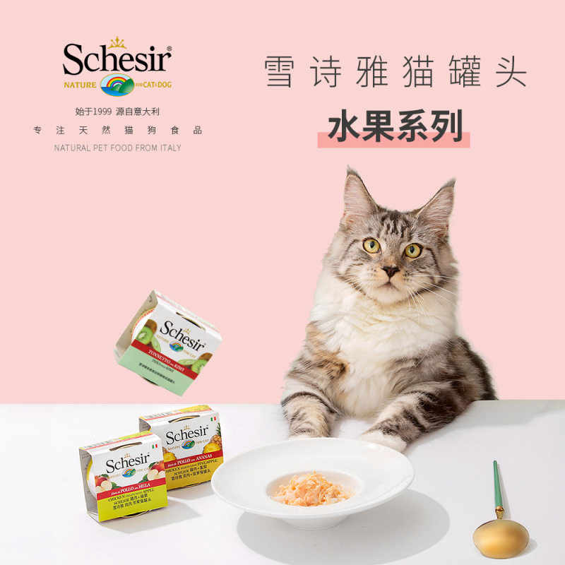 Schesir xueshiya China general agent canned cat 75g fruit series primary supply quantity consultation