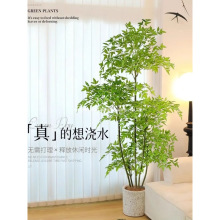 ����Gֲ���������Ը߶��p���҃ȿ͏d����b����ͷ���ֲ���S��