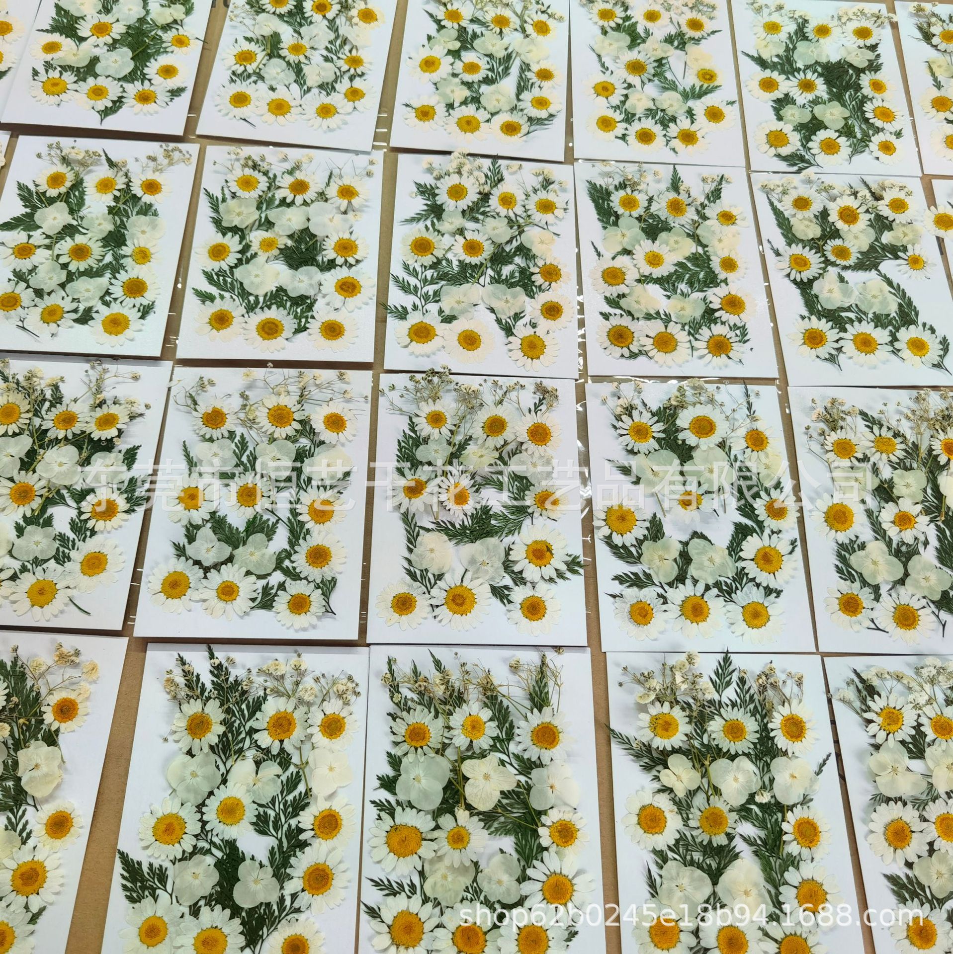 8FCF15A6ADE7CC6A8B7026C3AD12E7