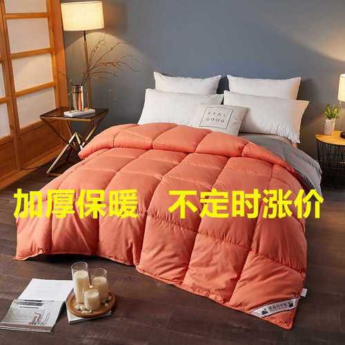 Wholesale white duck down quilt duvet thickened warm winter quilt core warm student dormitory single and double spring and autumn quilt