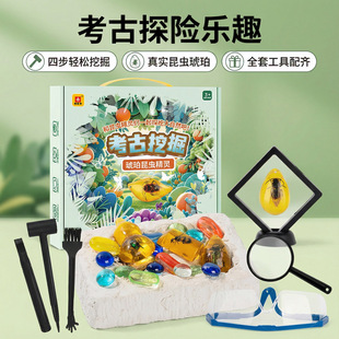 �挍���x�ڌ�����ʯ�������ھ򹤾߃�ͯ����DIY�����ھ����