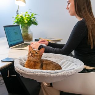 Amazon's Hottest Cat Table Bed Cat Hammock Cat Nest Office Computer Book Desktop Hanging Bed Hanging Bracket Cat Nest