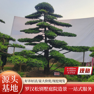 ���a�_�h�ɘ��ͥ�e����ľͥԺӭ�������lб�h�Rˮ���a����