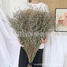 ˲ݸɻˇܛbˇɭϵĔz߼Ҿb