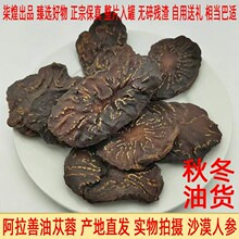 内蒙古阿拉善肉苁蓉500g切片金锁阳淫羊藿玛卡泡酒料内蒙古特产