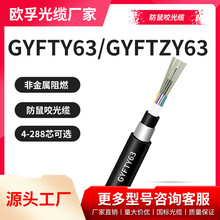 ρ|gyfty63-12b1ǽٹ|12оģw