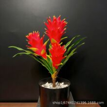 仿真鸿运当头花凤梨花塑料花客厅装饰盆景塑料花工厂批发一件代发