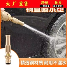 洗车高压水枪家用套装纯铜直喷枪浇花喷雾喷头四季软管洗车喷水枪