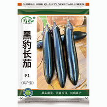 �ڱ��L���ӷN�ѷN����A����ɫ�L���ش�޽����ļ������߲��ݴ�ȫ