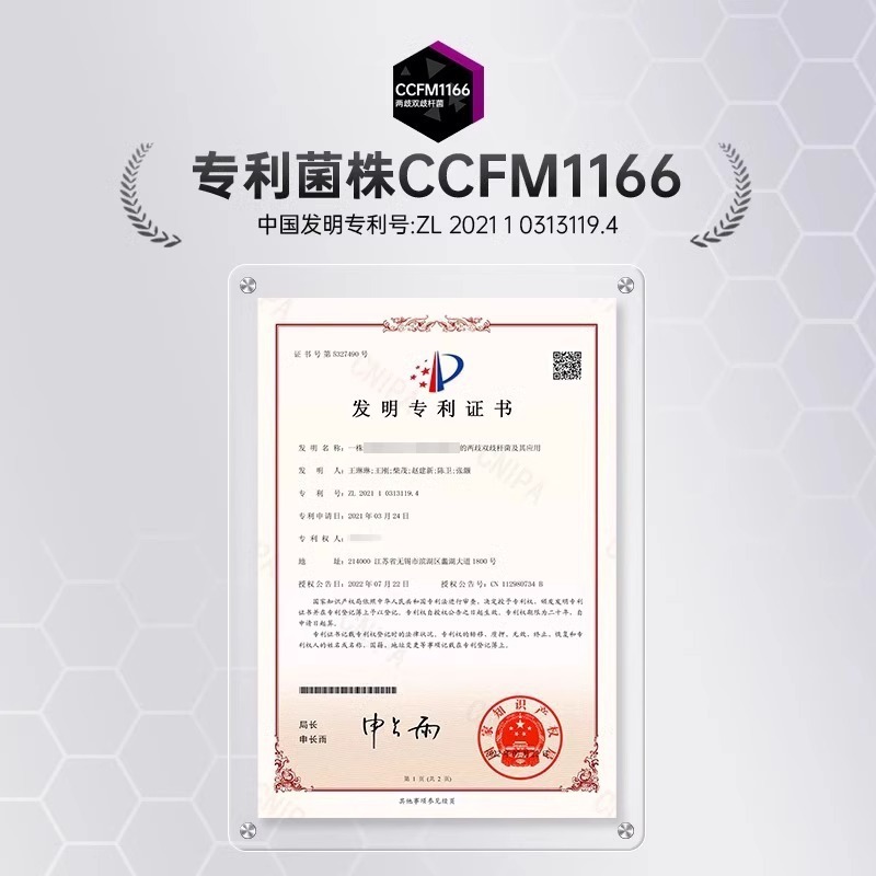 均瑶味动力乳酸菌饮料330ml小瓶酸性含乳饮料牛奶益生菌饮料饮品|undefined