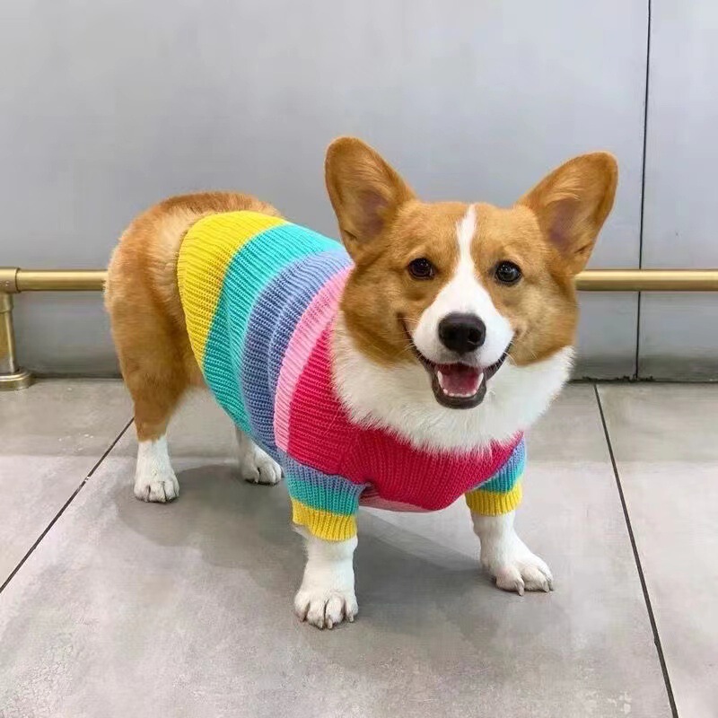 Corgi Dog Clothes Pet Autumn and Winter Clothes Rainbow Sweater Small and Medium-sized Dog Bixiu Fa Dou Warm Winter