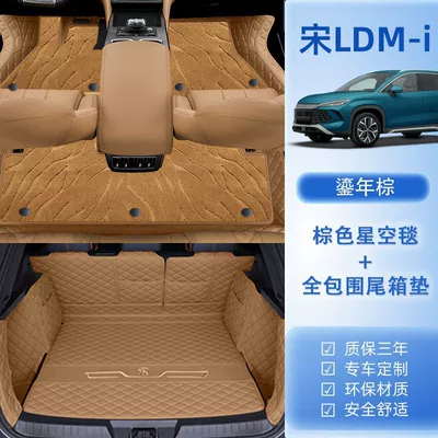 Song Lev Car Foot Mat | Ayaqaltılar (Kovriklər) - 24-models-song-l-dm-i-package-b-original-car-in-year-brown-brown-starry-sky-blanket-trunk-all-inclusive