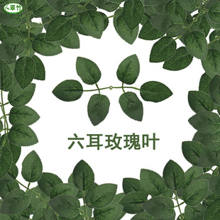 ���R�d����õ���~�ӻ�c�Ҿ��b������~Ƭ���Ͻ����٘��~�S�����l