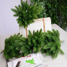 ���l��������}�Q��Gֲˮ��������� �Ĕz����DIY�}�Q���b�ˇ