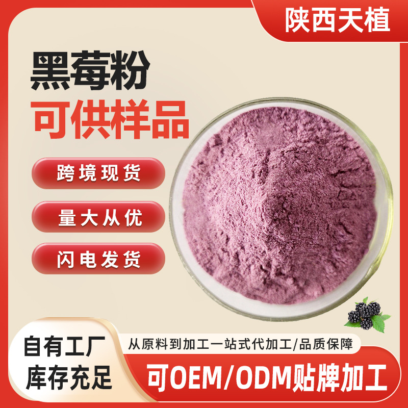 厂家直供黑莓果粉原料 水溶喷雾干燥黑莓果汁粉 固体饮料专用现货