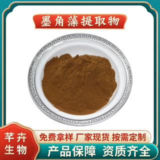 墨角藻提取物 水溶 墨角藻粉 墨角藻多糖 厂家1KG起现货包邮
