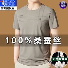 啄木鸟桑蚕丝短袖t恤男士2025新款夏季圆领T恤衫冰丝半袖男上衣