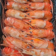 ����_���r���^�r�_���r�����;Ƶ�ߙnʳ�ĺ��r���r���̩ʽ�h�F