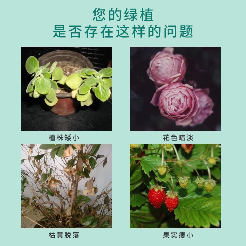 三元复合肥氮磷钾通用花肥料家用有机缓释肥化肥绿植盆栽养花蔬菜