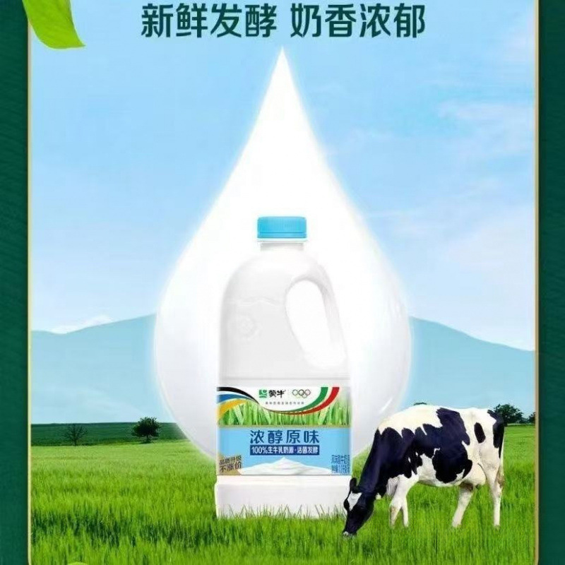 蒙牛大桶酸奶浓醇原味风味酸牛奶./大桶装酸奶水果捞奶茶店|undefined