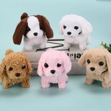 �羳���N����늄ӹ�ë�qС�����ߕ��Е��c�^�uβ�Ϳ羳������l