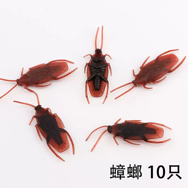 10 cockroaches