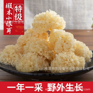 �ؼ��L��ɽ�ľС�y����؛�o��Ұ����Ŵѩ��ɏ�Ӹ���ľ��������z