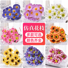 滨rոɣٻҾ͏d[ˇb廨cѻ