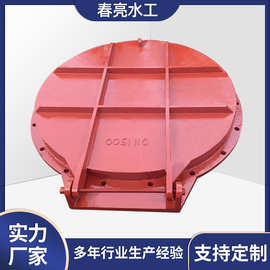 拍门防倒灌法兰直通式水利控制钢制圆形多种规格止水闸门大口径