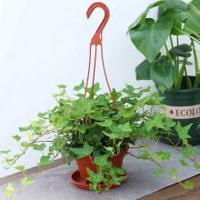 ���mֲ�����~�������·��k�������������L�ٵ��m�҃��̨���ܺ��B