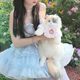 Shake Tone Same Three-Flower Cat Simulation Cat Doll Doll Plush Toy Puppet Cat Backpack Birthday Gift