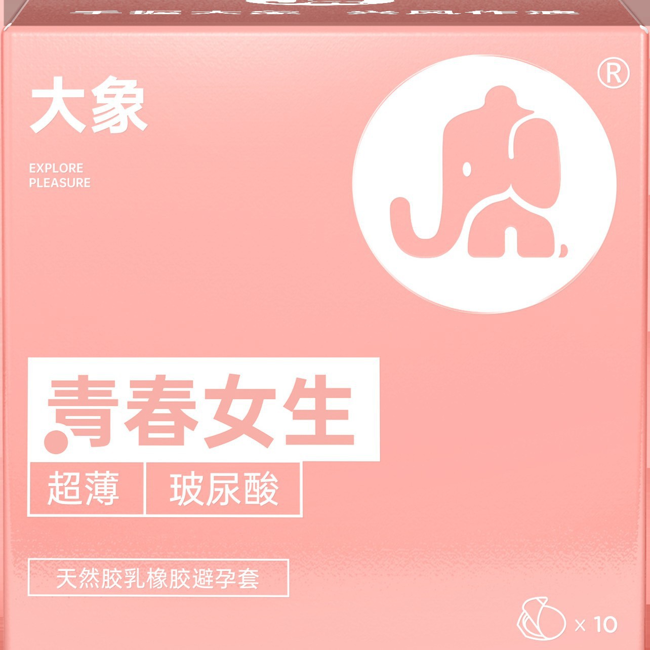 코끼리소녀 10마리(준비)